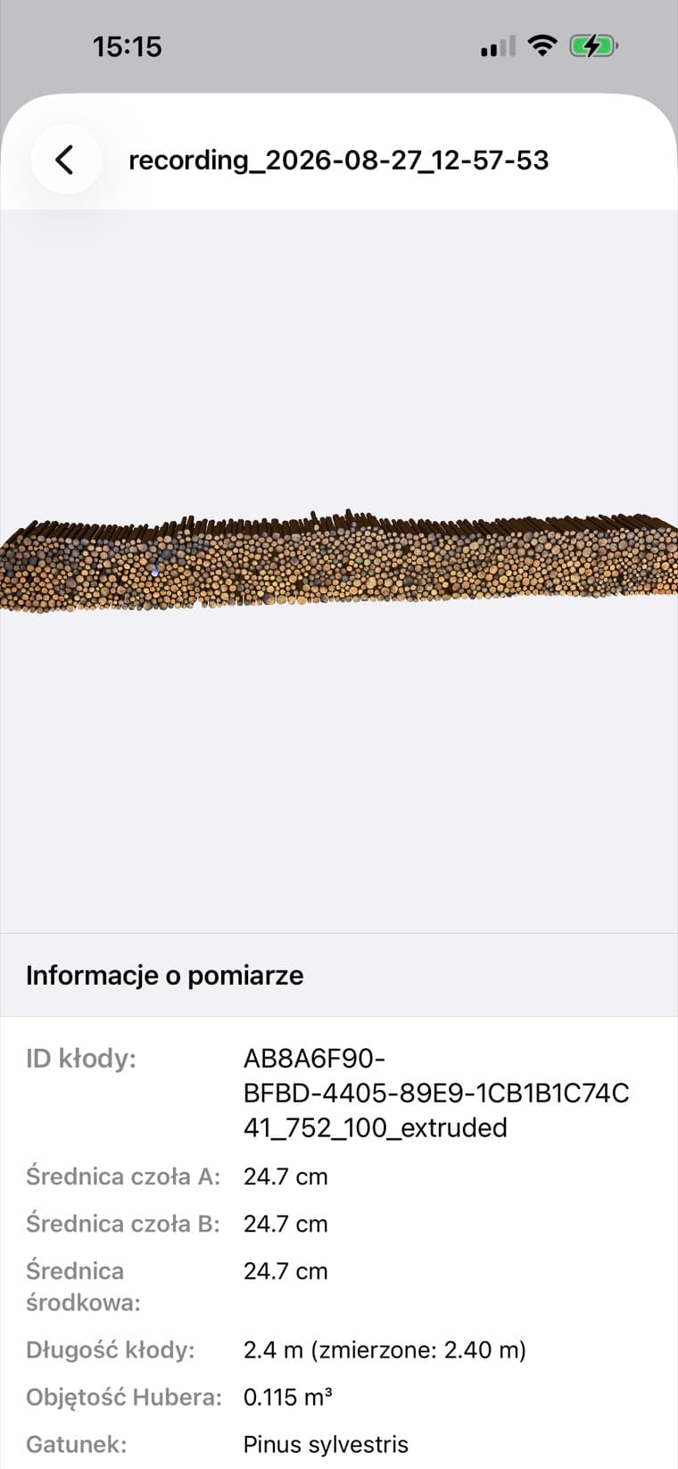 Pile3D 3D (PL)